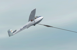 vet2002.gif
